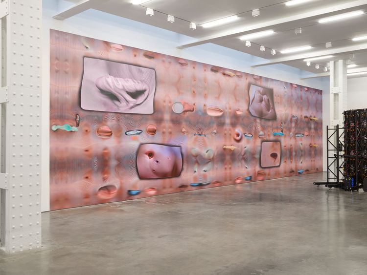 Installation view, emergence, Lisson, 504 W 24th Street · 2025 (9)