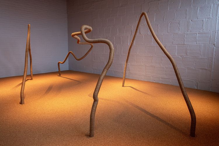 Installation view, Temitayo Ogunbiyi, The Noguchi Museum