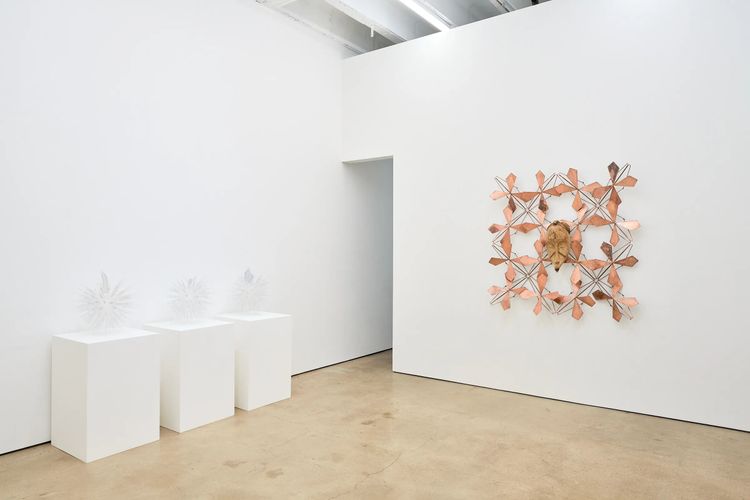 Installation view, Assotto:ottossA, François Ghebaly · 2026 (1)