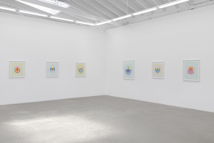Installation view, The Drops, Luis De Jesus Los Angeles · 2026 (20)