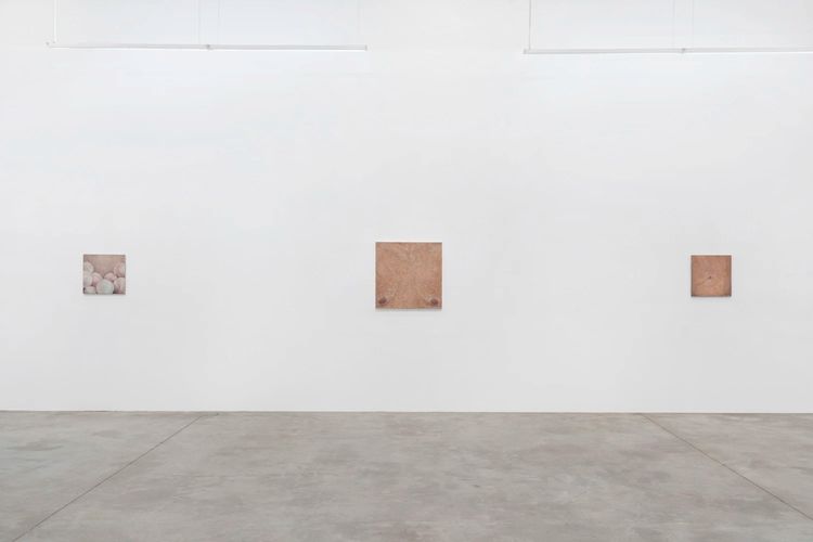 Installation view, Hold Still, Tina Kim Gallery · 2025 (4)