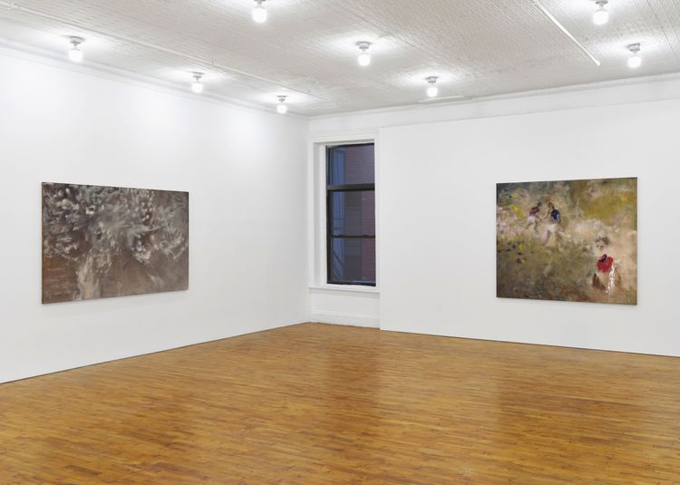 Installation view, Swallow the Ground, Tara Downs · 2026 (7)