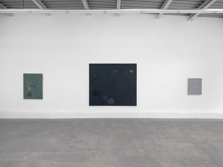 Installation view, In Search of Lost Light, Spencer Brownstone · 2026 (2)