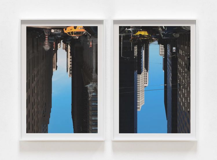 Installation view, Case Studies, Marshall Gallery · 2026 (6)