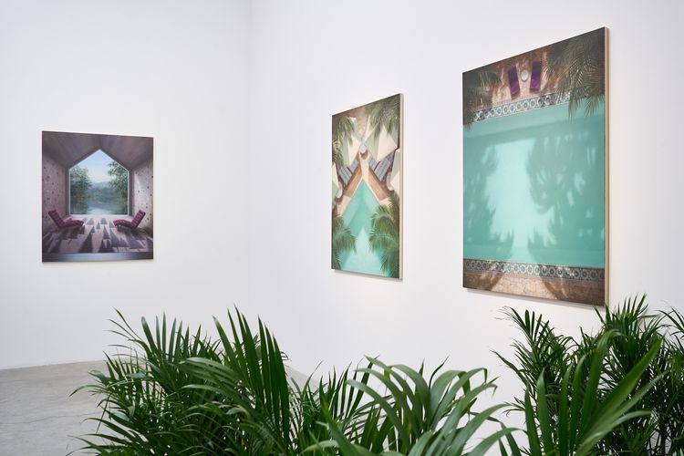Installation view, Environmental Thoughts, Sofia Sominsky · 2026 (1)