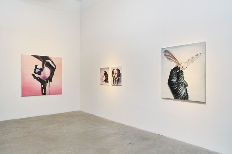 Installation view, ALMOST HUMAN, Sofia Sominsky · 2025 (1)