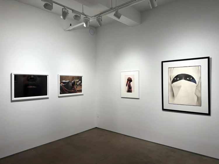 Installation view, Shared Memories, Bruce Silverstein · 2026 (6)