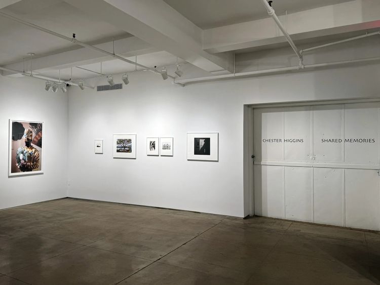 Installation view, Shared Memories, Bruce Silverstein · 2026 (4)
