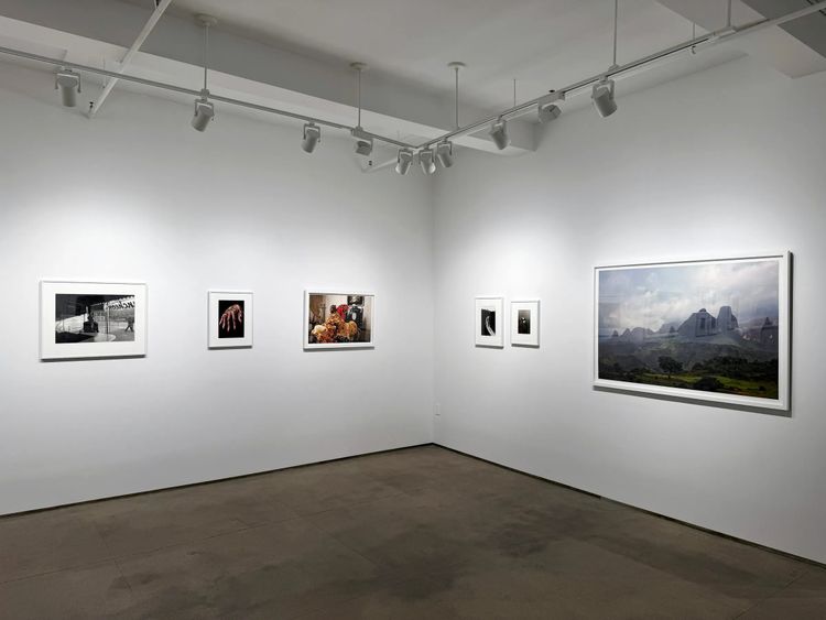 Installation view, Shared Memories, Bruce Silverstein · 2026 (7)