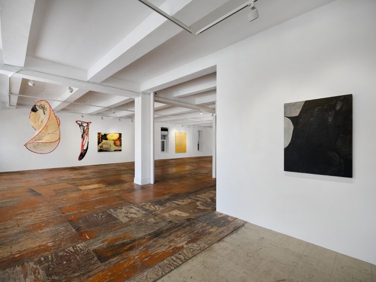 Installation view, Receptors, Kiang Malingue · 2026 (6)
