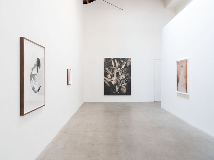 Installation view, x-ray island, Moskowitz Bayse · 2026 (8)