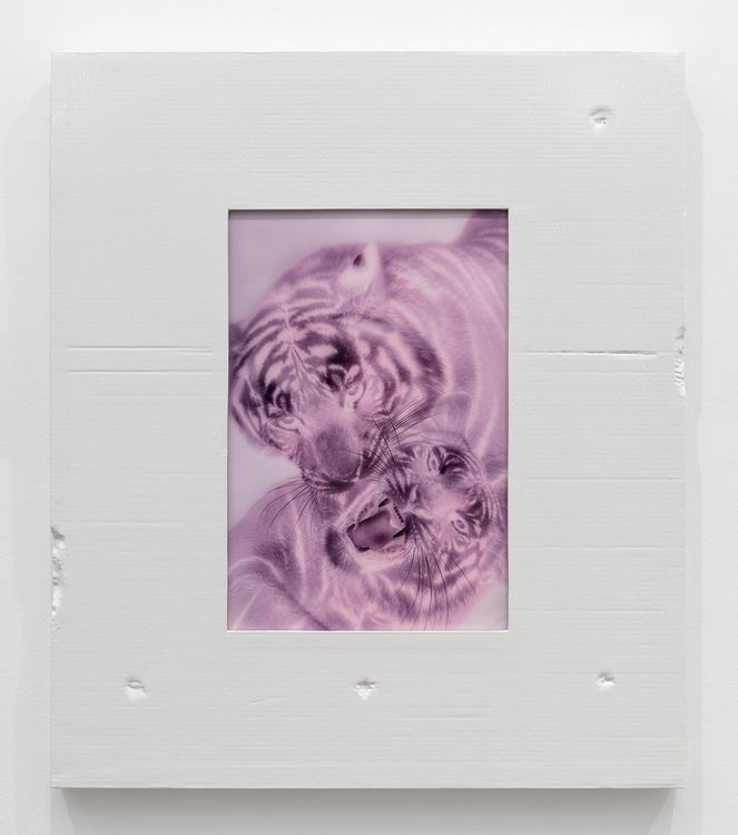 Installation view, Beast in Both Palms, Gladstone Gallery, 130 E 64th Street · 2026 (13)
