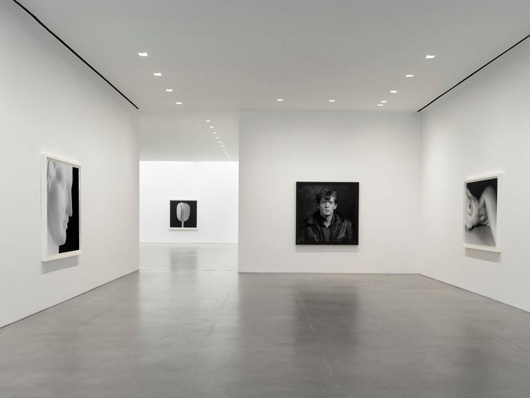 Installation view, Robert Mapplethorpe, Gladstone Gallery, 515 W 24th Street · 2026 (6)