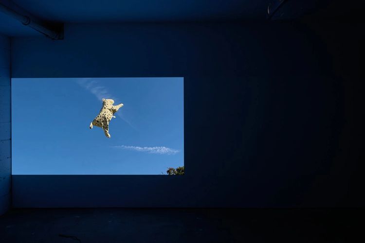 Installation view, Oh, it’s my ass and my anus, Parent Company · 2025 (1)