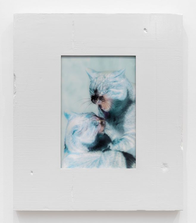 Installation view, Beast in Both Palms, Gladstone Gallery, 130 E 64th Street · 2026 (17)