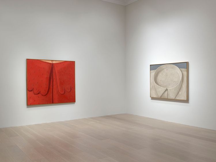 Installation view, The Adventure of Domenico Gnoli, Levy Gorvy Dayan · 2026 (2)