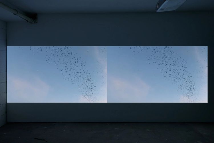 Installation view, Oh, it’s my ass and my anus, Parent Company · 2025 (5)