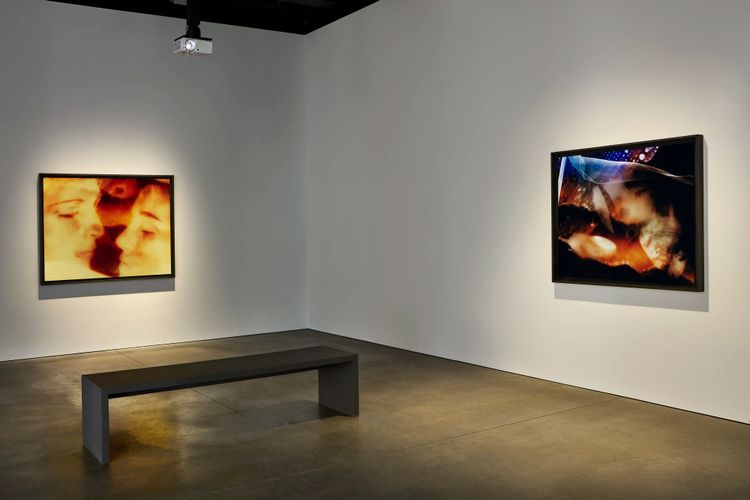 Installation view, On an Overgrown Path, Marian Goodman, New York · 2026 (15)