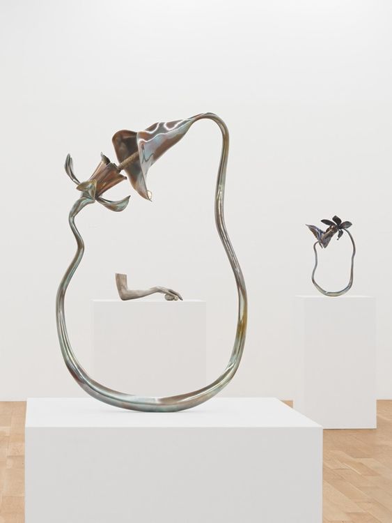 Installation view, Alien Spring, Nicodim · 2025 (12)