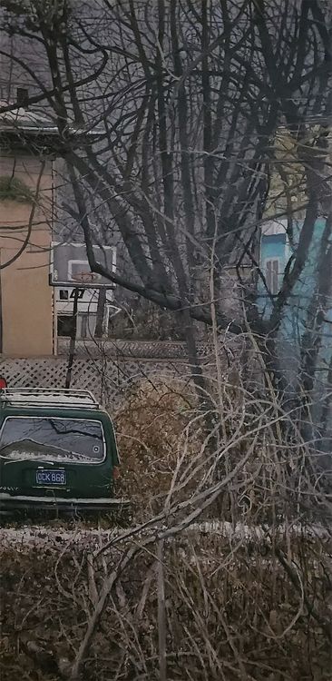Installation view, "Have a Look ? ", Blue Mountain Gallery · 2025 (5)