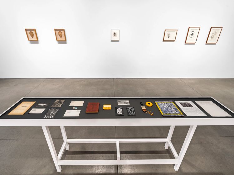 Installation view, Back to the Source, Marian Goodman, New York · 2025 (10)