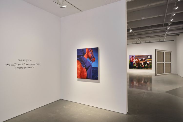 Installation view, ana segovia: the office of inter-american affairs presents, kurimanzutto · 2026 (3)