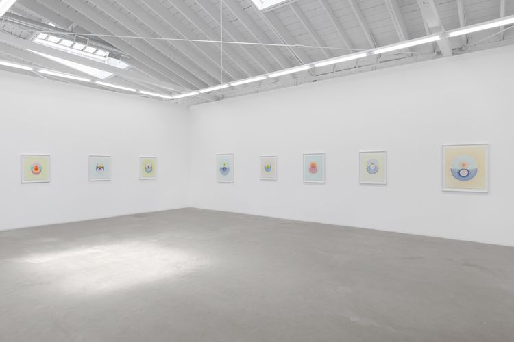 Installation view, The Drops, Luis De Jesus Los Angeles · 2026 (4)