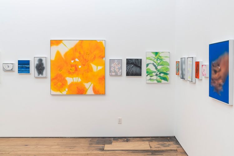 Installation view, More, MARCH · 2025 (5)