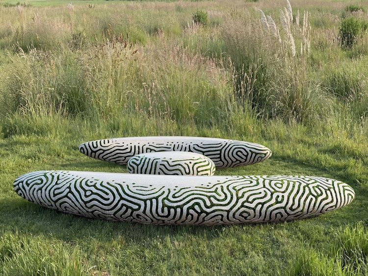 Installation view, SYMBIO, Friedman Benda · 2026 (10)