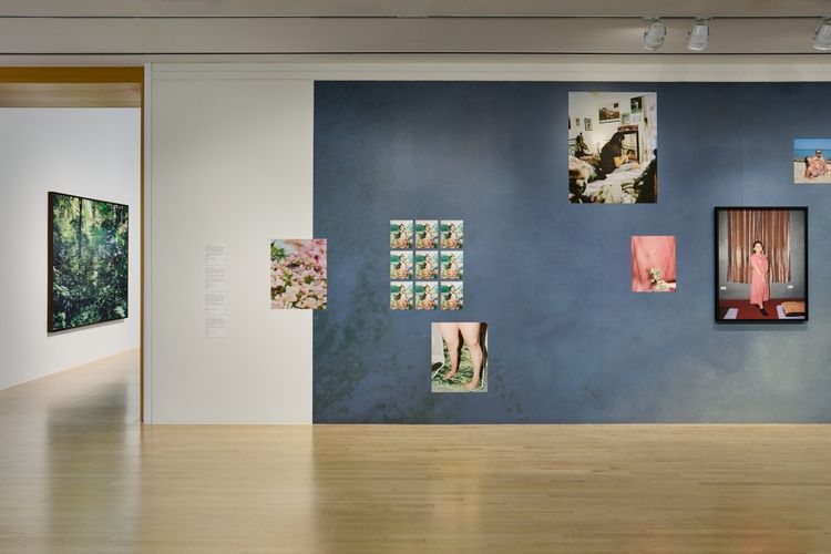 Installation view, The Imaginative Landscape, San Jose Museum of Art · 2025 (2)