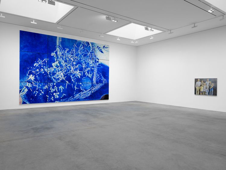 Installation view, The Fruit Basket, David Zwirner · 2026 (11)