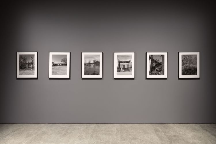 Installation view, From Out of Space, Paula Cooper, 521 W 21st Street · 2026 (1)