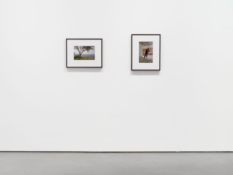 Installation view, Bones in the Canal and Other Photographs, David Kordansky Gallery, Chelsea · 2026 (4)