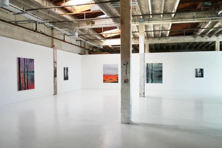 Installation view, A Thousand Echoes in My Mind, Hosfelt Gallery · 2025 (7)