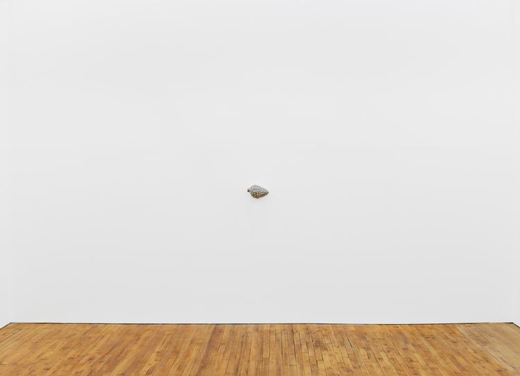 Installation view, Nouvelles Sculptures, Tara Downs · 2026 (6)