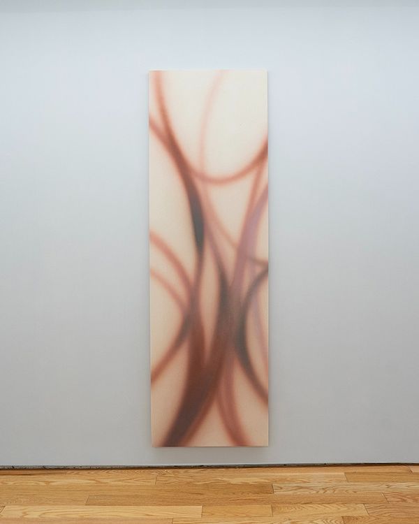 Installation view, Memory Root, Island Gallery · 2025 (3)