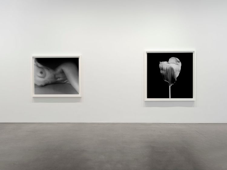 Installation view, Robert Mapplethorpe, Gladstone Gallery, 515 W 24th Street · 2026 (2)