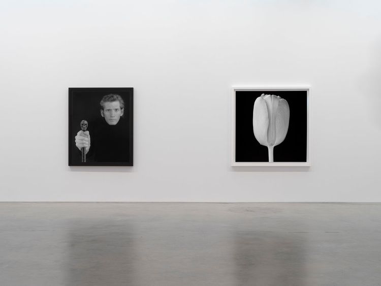 Installation view, Robert Mapplethorpe, Gladstone Gallery, 515 W 24th Street · 2026 (1)