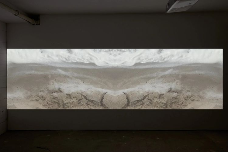 Installation view, Oh, it’s my ass and my anus, Parent Company · 2025 (12)