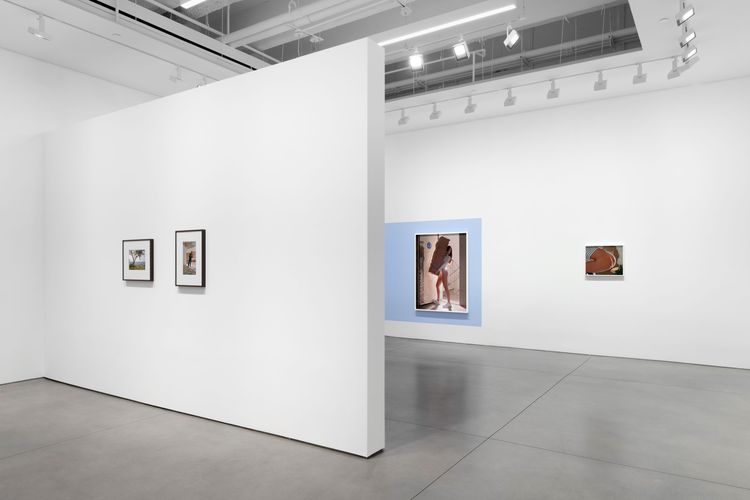 Installation view, Bones in the Canal and Other Photographs, David Kordansky Gallery, Chelsea · 2026 (16)
