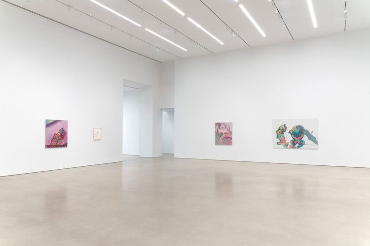 Installation view, Maria Lassnig, Petzel Gallery · 2026 (13)
