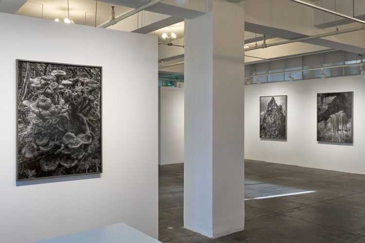 Installation view, Low Tide, Gallery Luisotti · 2026 (2)