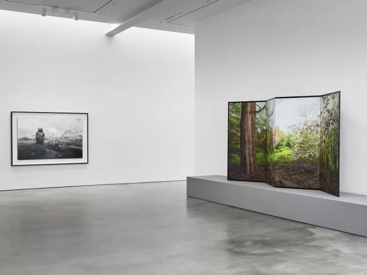 Installation view, Hiroshi Sugimoto, Lisson, 504 W 24th Street · 2026 (4)