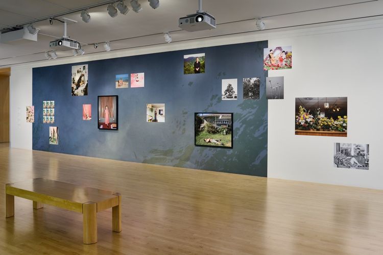 Installation view, The Imaginative Landscape, San Jose Museum of Art · 2025 (3)