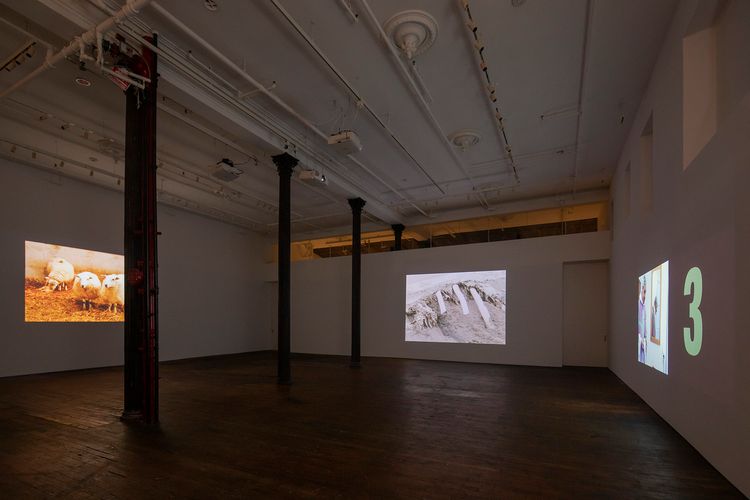 Installation view, Pygmalion Margaret Ursus Uan, Peter Freeman, Inc. · 2026 (11)