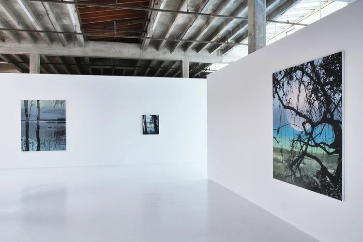 Installation view, A Thousand Echoes in My Mind, Hosfelt Gallery · 2025 (6)