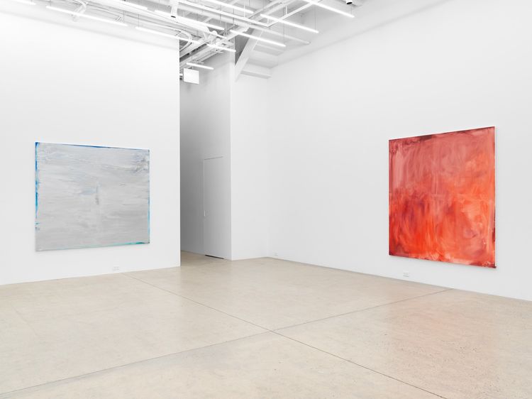 Installation view, Strawberry Fields, Magenta Plains · 2026 (3)