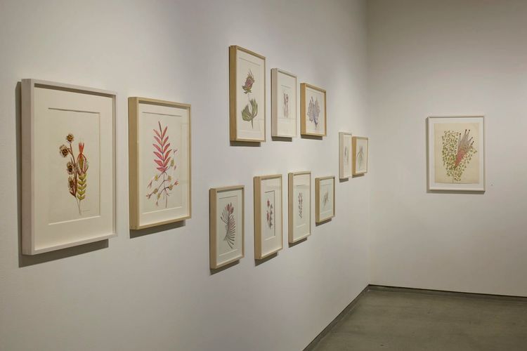 Installation view, Collaging the Visionary, Cavin Morris · 2026 (2)