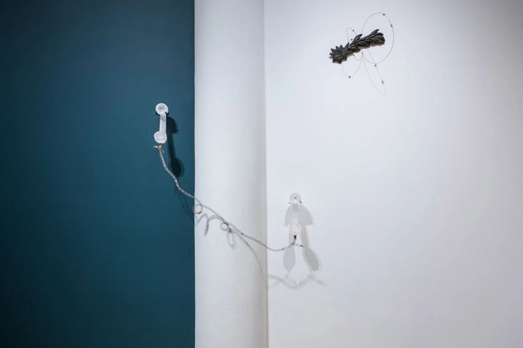 Installation view, In the woods, might be late, Fou Gallery