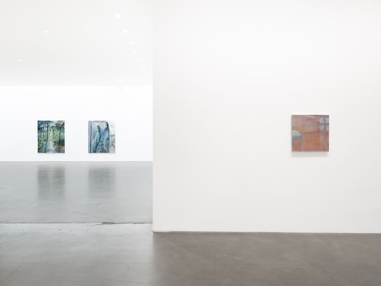 Installation view, Innervisions, Gladstone Gallery, 515 W 24th Street · 2026 (4)